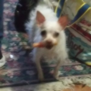 Meet your Posher, Kellie